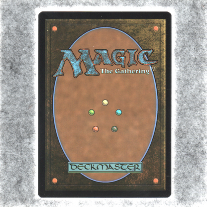 Dawn's Truth 009 NM NF MTG Bloomburrow Magic