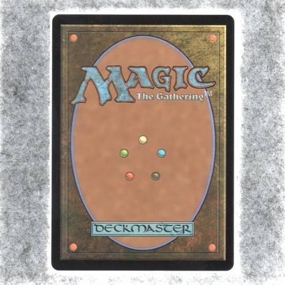 Pileated Provisioner 025 Foil NM MTG Bloomburrow Magic