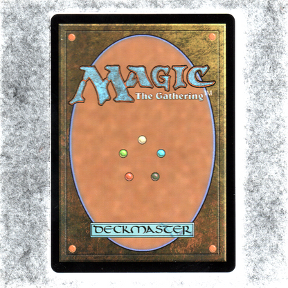 Warren Elder 037 Foil NM Common MTG Bloomburrow Magic